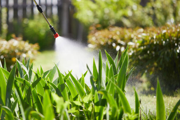 24/7 Emergency Fumigation Services experts in Hearne, TX
