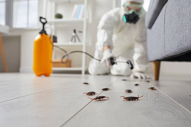 Trusted Rodent Control service in Hearne, TX - Nex Pest Control