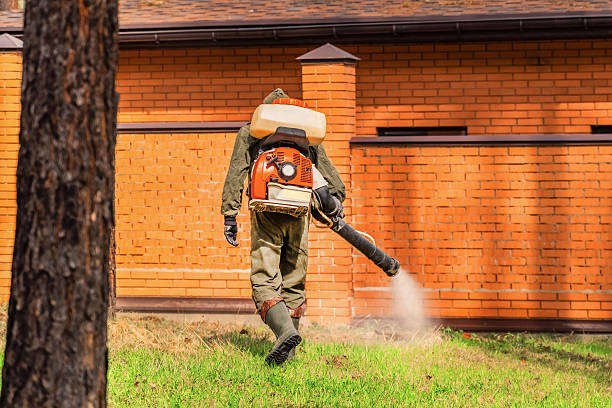 Trusted Bed Bug Control service in Hearne, TX - Nex Pest Control